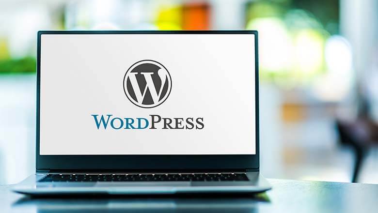 Why WordPress Might Not Be Enough for Your Web Application Needs